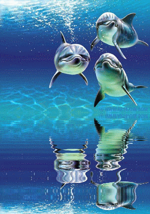 cartoon images of dolphins