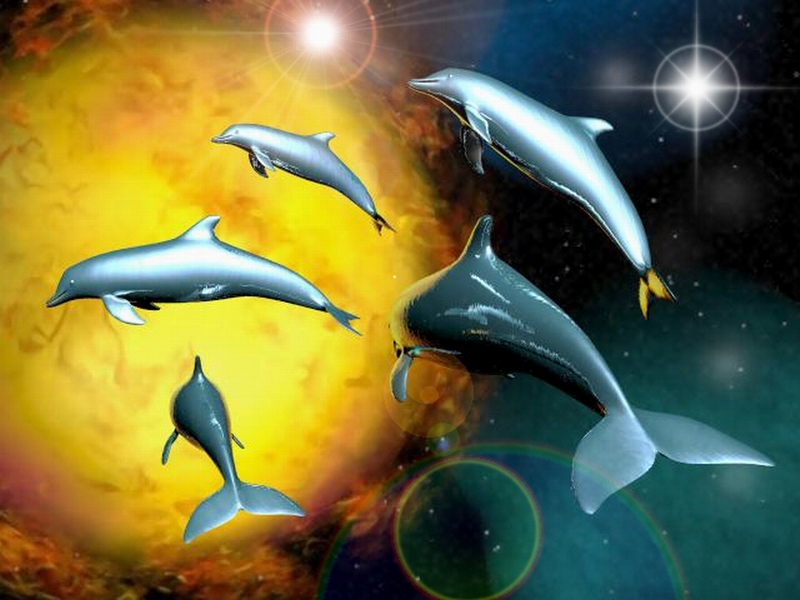 spacedolphins.jpg